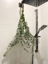 Load image into Gallery viewer, | Eucalyptus Shower Bundle
